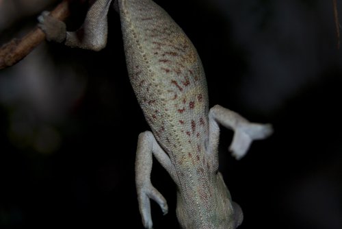 DSC_1329.jpg