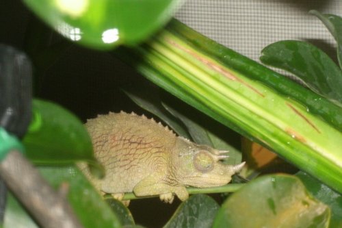 GEDC2759.jpg