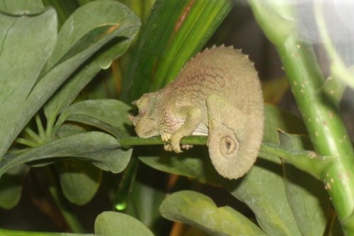 GEDC2758.jpg