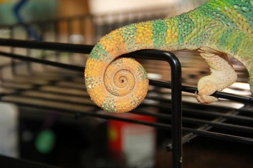 IMG_1847 (800x533).jpg