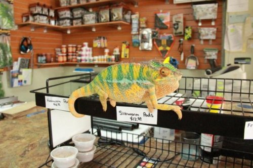 Malebody1 (800x533).jpg