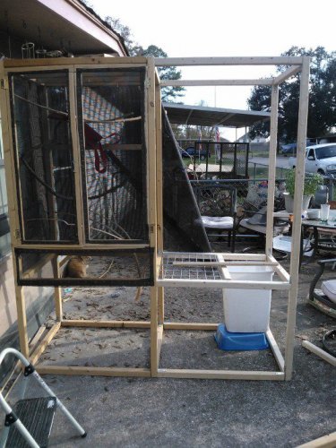 cage7.jpg