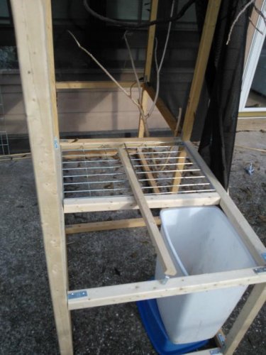 cage8.jpg