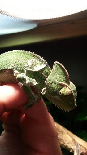 20121207_172511.jpg