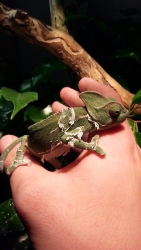 20121207_172339.jpg