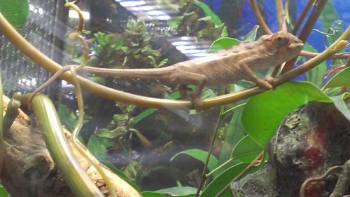 IMAG0376.jpg