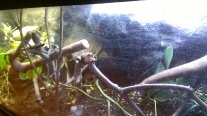 3K13Ff3I45L25E85K5ccaadbce12b53ec1f4c (1).jpg