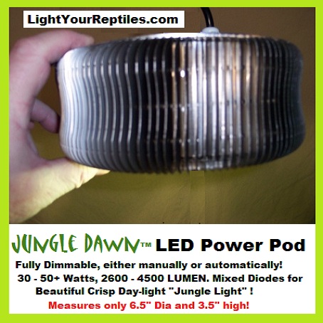 30w JD Power Pod.jpg