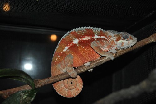 DSC_0192.jpg