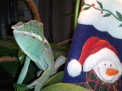 20121213_082414.jpg