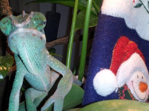 20121213_081920.jpg