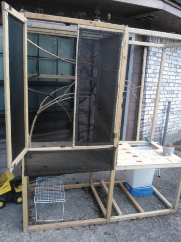 CAGEPROJECT4.jpg