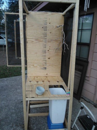 CAGEPROJECT5.jpg