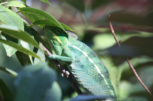 IMG_3836.jpg