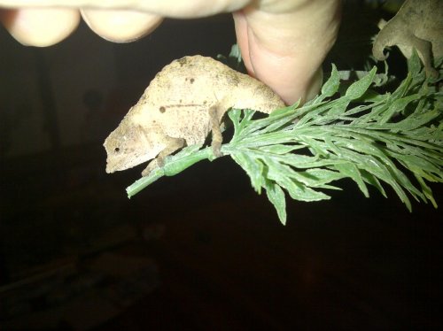 IMG-20121222-00352.jpg