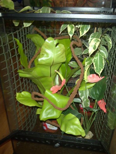 IMG-20121222-00348.jpg