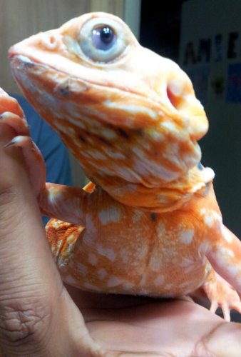 2012-12-09 15.30.22.jpg