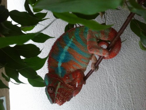 2012-05-03 19.23.15.jpg