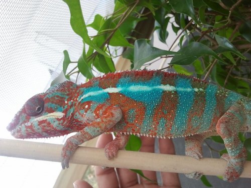 2012-02-18 14.16.13.jpg