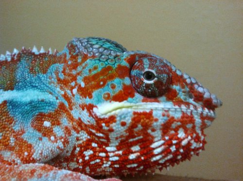 2012-02-07 20.32.22.jpg