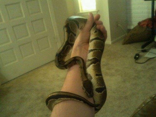 I miss my Roxanne!!!.jpg