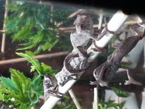 20121226_164522.jpg