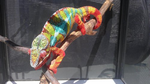 IMAG0752.jpg