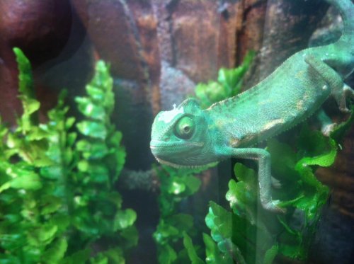 photo (1).jpg
