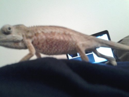 20121222_211713.jpg