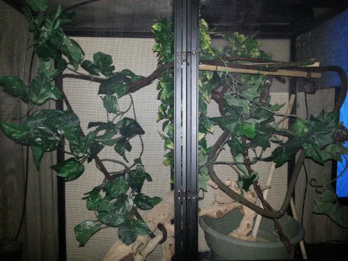 20121229_071202.jpg