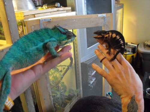 Sonny and Sunshine.jpg