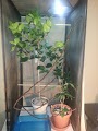 20130105_173359.jpg