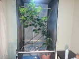 20130105_180623.jpg