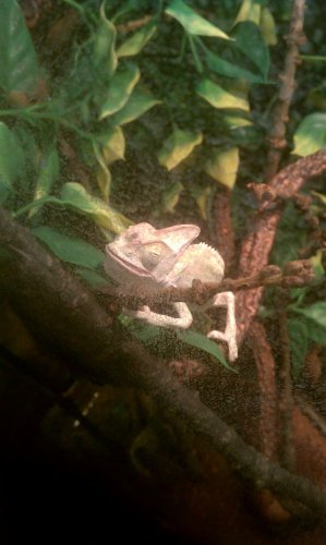 IMAG0133.jpg