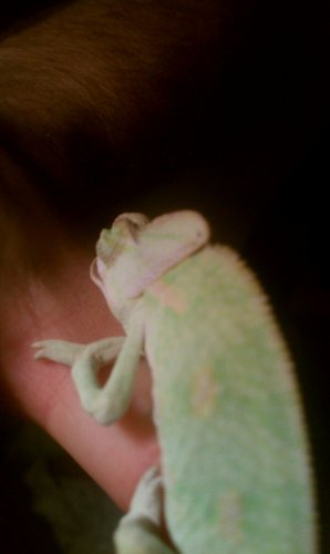 IMAG0139.jpg