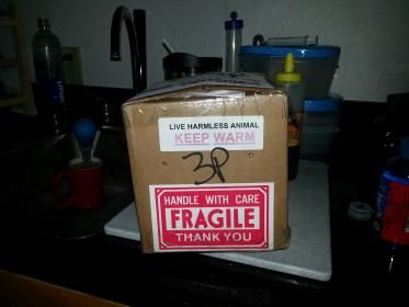 20130108_105533.jpg