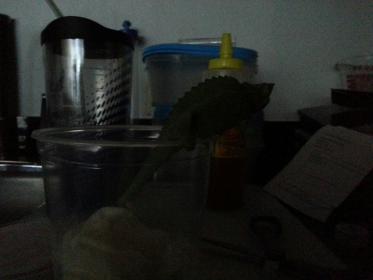 20130108_105705.jpg