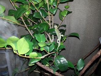 20130108_110046.jpg