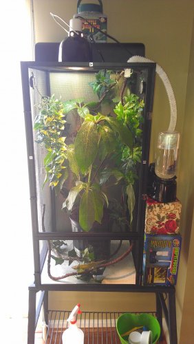 IMAG0545.jpg