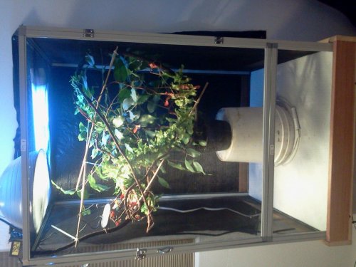 2013-01-08 20.29.08.jpg