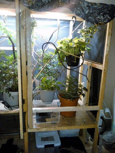 cage3.jpg