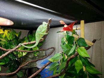 20130111_122940.jpg