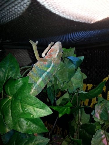 20130111_172518.jpg