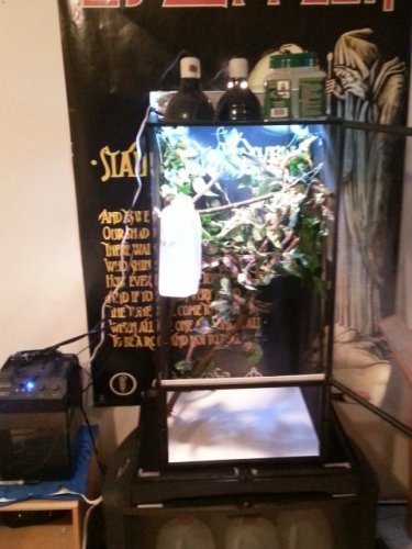20130112_113325.jpg