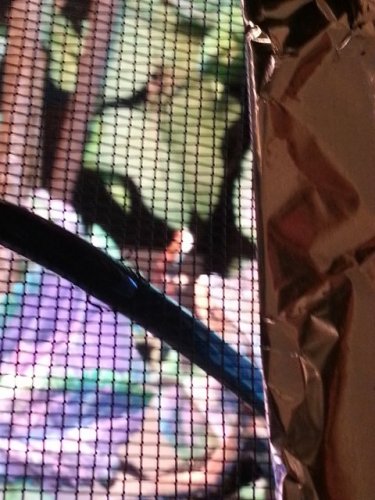20130112_113345.jpg