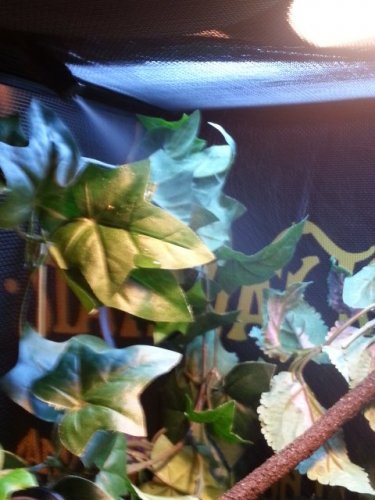 20130112_113309.jpg
