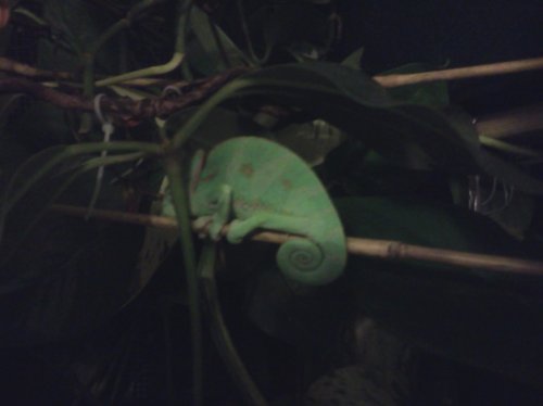 2013-01-11 22.19.56.jpg