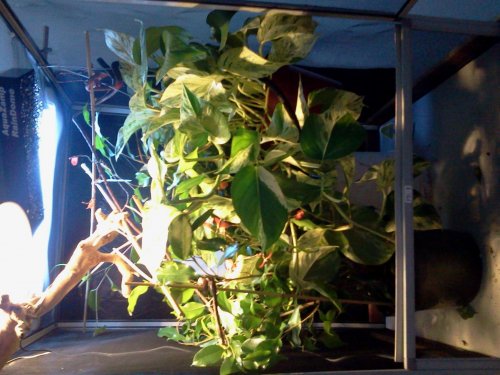 2013-01-12 09.35.20.jpg