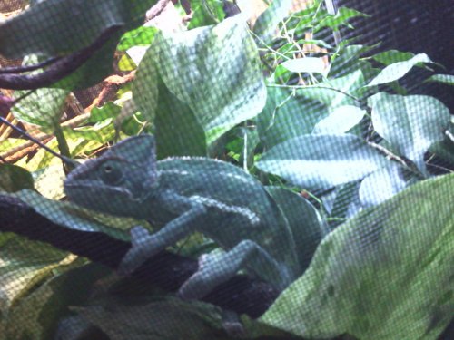 2013-01-13 13.29.03.jpg