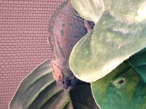 photo.jpg
